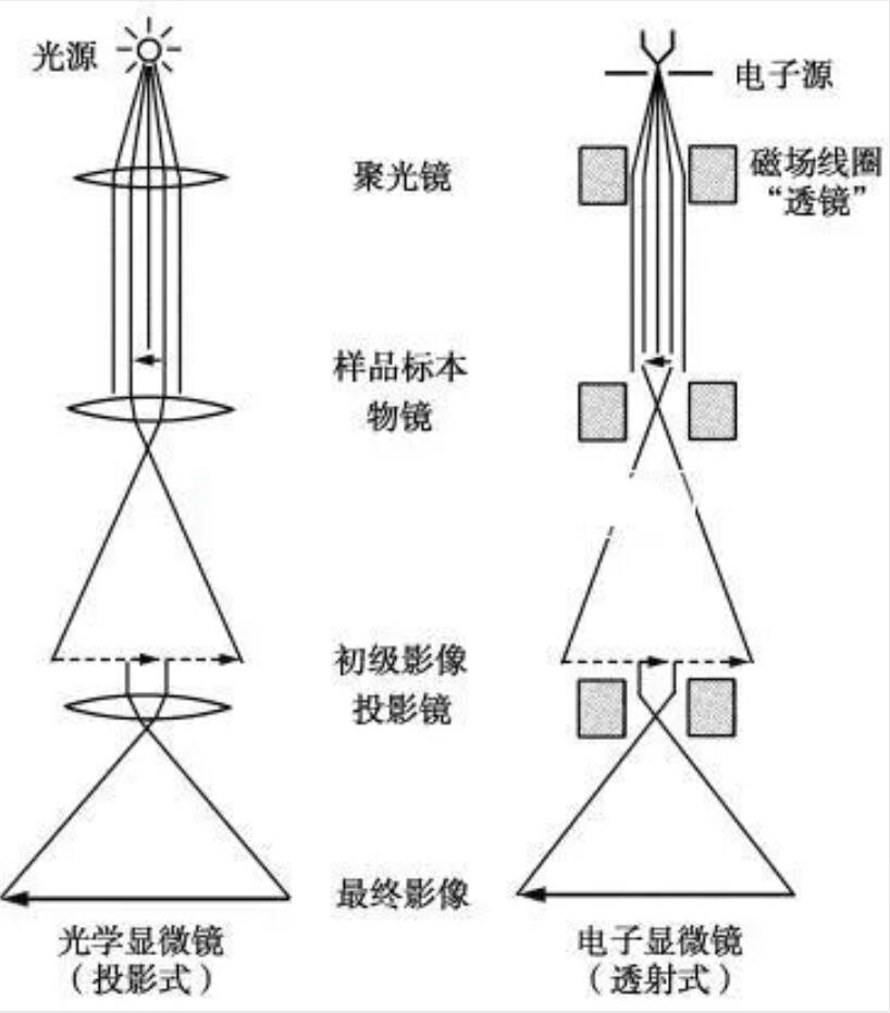 明美和您一起從諾獎(jiǎng)看