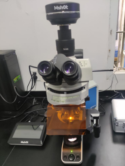熒光顯微鏡MF43-N搭配顯微鏡相機、觸摸屏寬光譜大功率LED光源觀察藻類