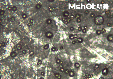 倒置金相顯微鏡用于觀(guān)察金屬微球