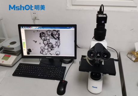 石墨烯用什么顯微鏡觀察？