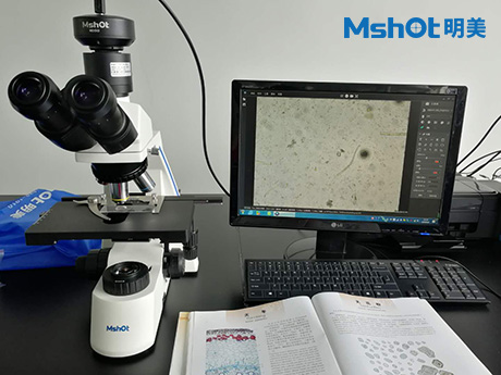 不同顯微鏡用于淀粉檢測