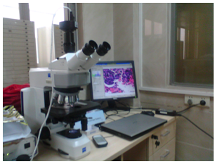 實(shí)拍設(shè)備圖片（MD50+蔡司顯微鏡+病理報(bào)告系統(tǒng)）